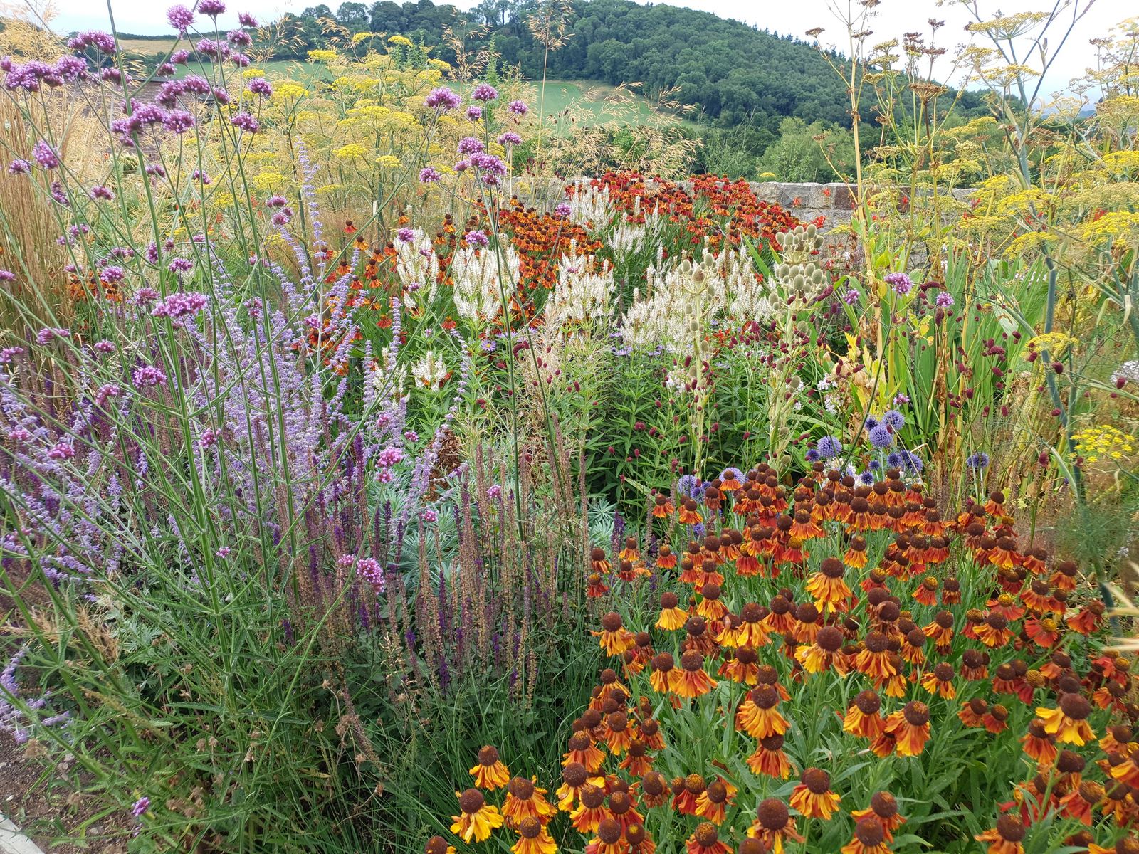 Vibrant perennial and grass planting scheme