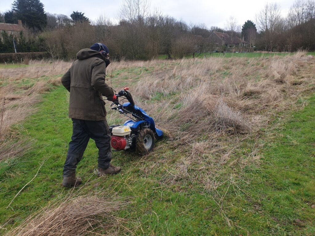 Cutting wildflower meadow over winter