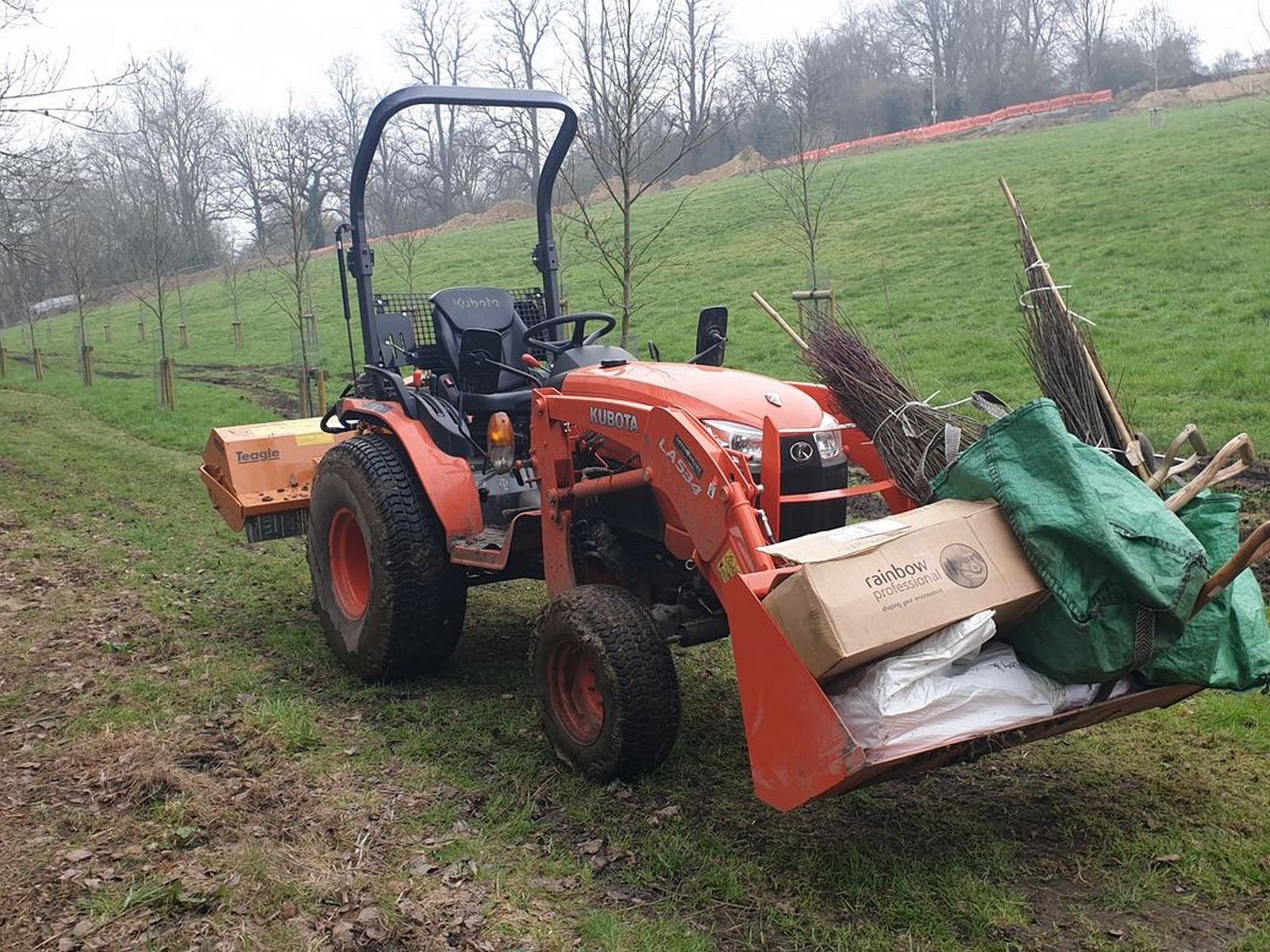 Hedge planting in a Victorian estate