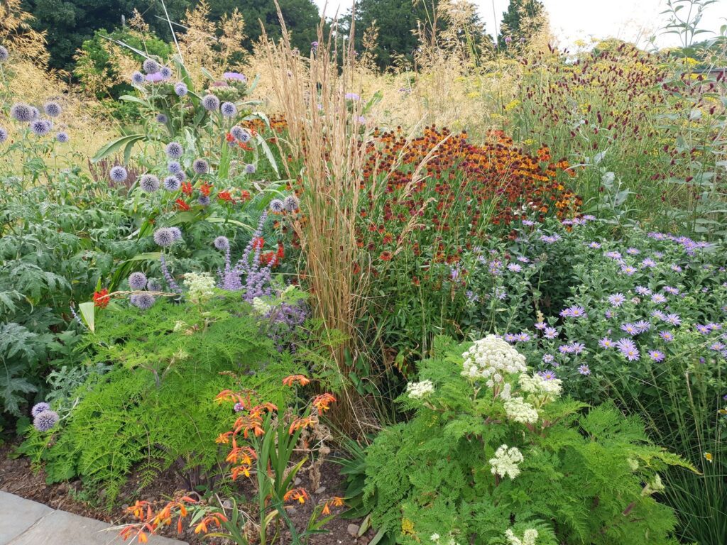 Perennials in a mixed flower border