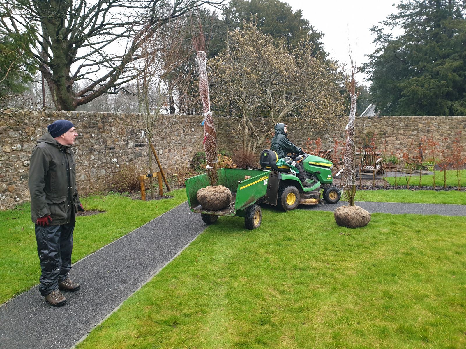 Planting rootballed trees