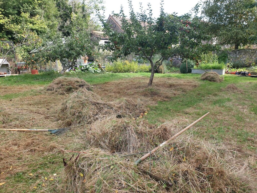 cutting hay in an orchard meadow