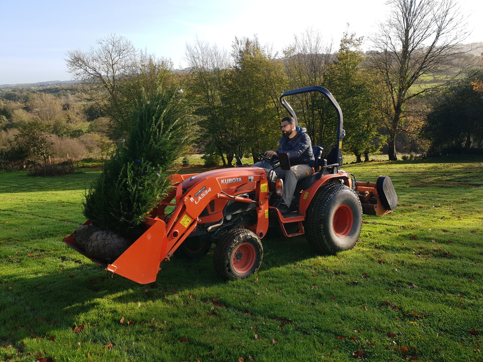 planting a Yew hedge in a Victorian landscape garden