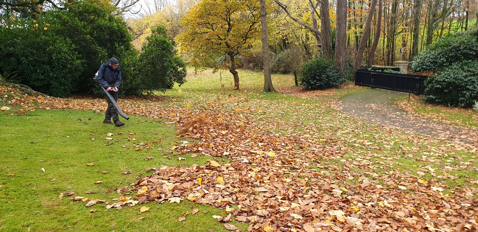 Clearing leaves in a landscaped park in Monmouthshire