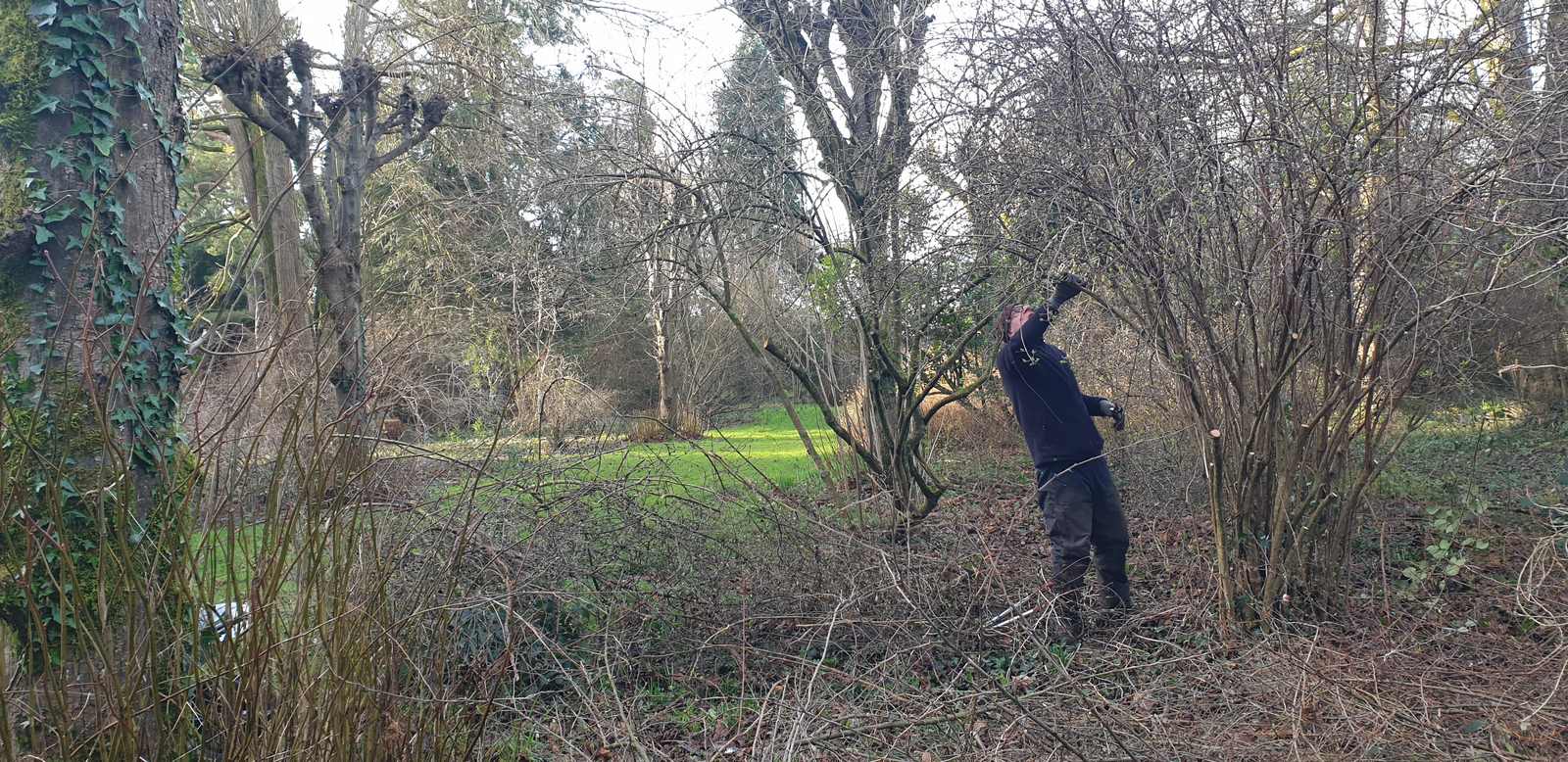 Gardener in a shrubby thicket