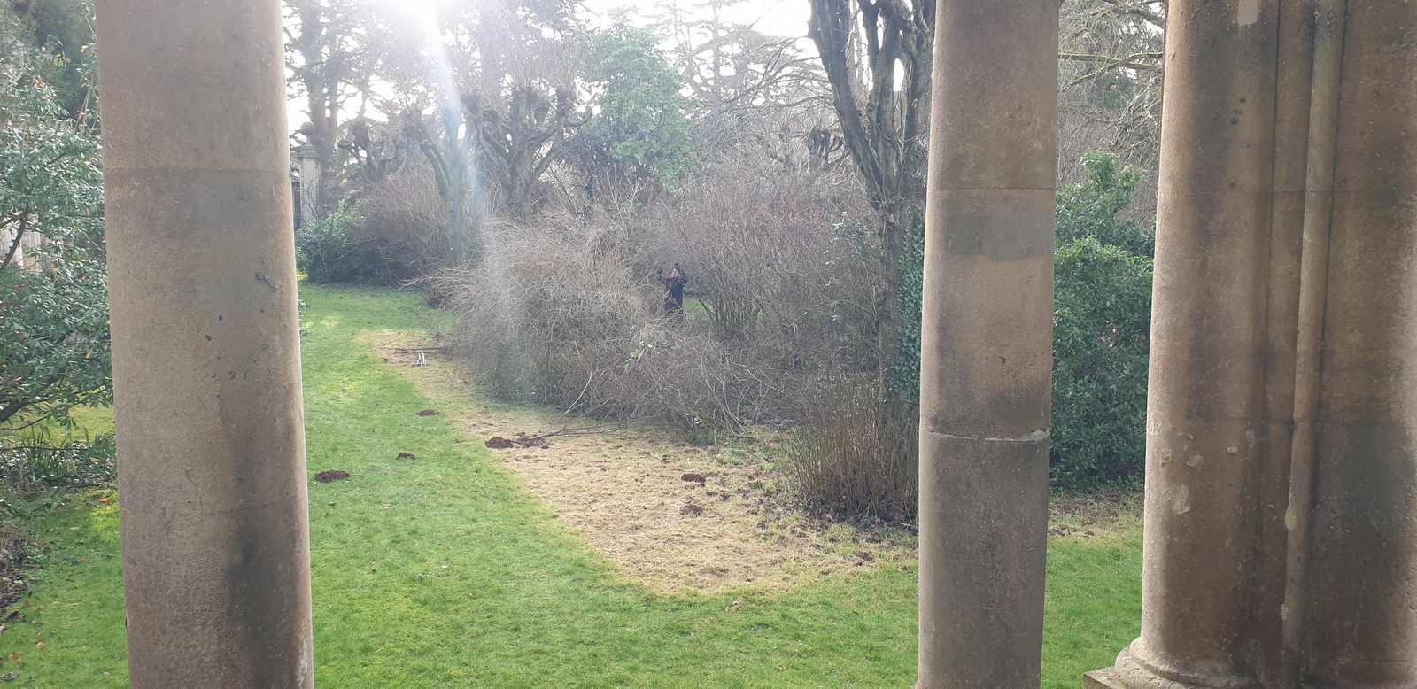 Gardener in a shrubby thicket