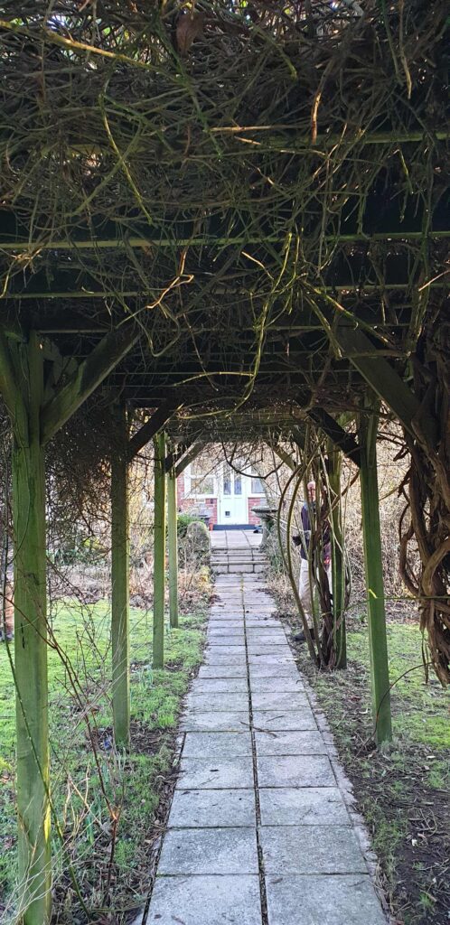 Overgrown Pergola